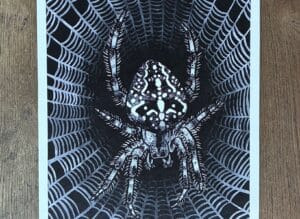 Trans rights fundraiser - A3 Print Spider by Cressida Raven - Image 2