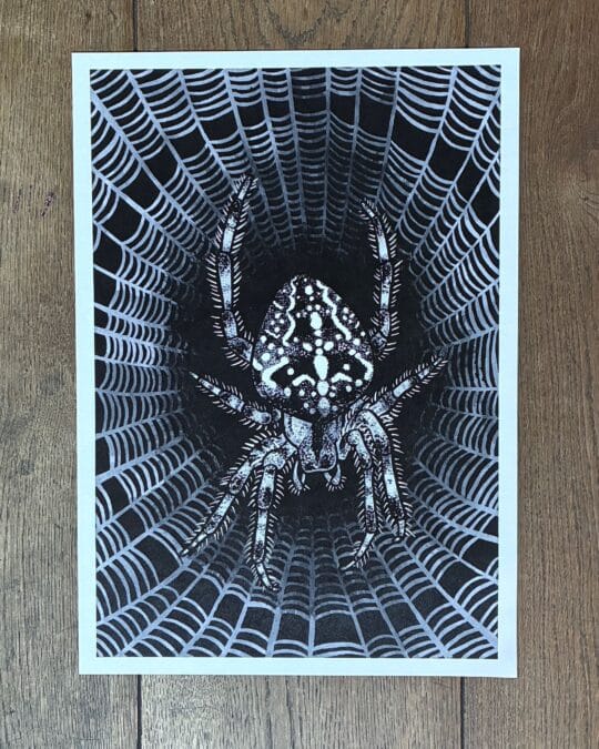 Trans rights fundraiser - A3 Print Spider by Cressida Raven